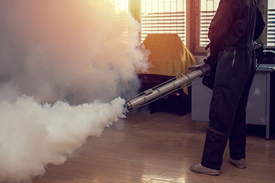 Technician fogging for mosquitoes